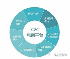 电子商务是什么类别专业