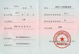 电子商务专业可考证书