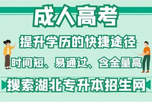 高考专业电子商务是啥